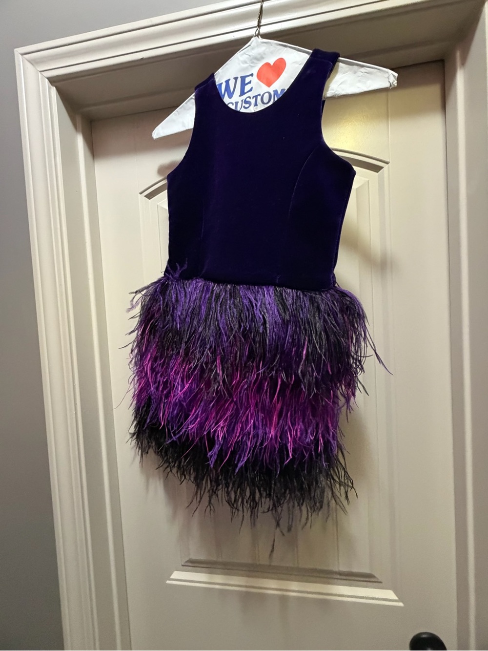 $286 Zoe LTD Girl's Purple Quinn Velvet Ombre Feather Dress Size 10